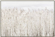 Pampas Grass Framed Canvas Wall Art 120cm