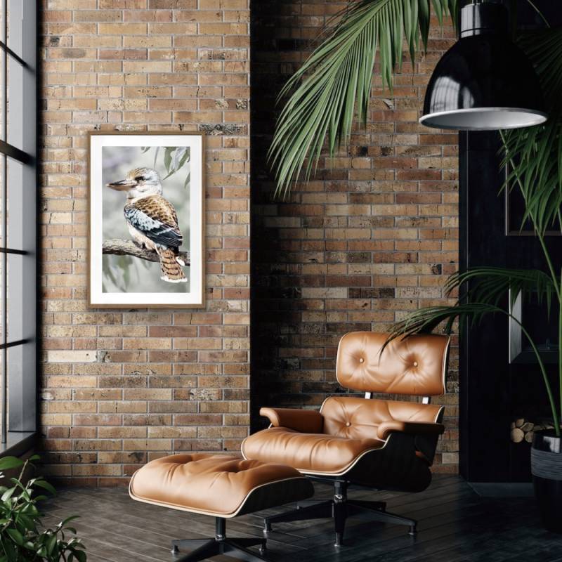 Kiki Kookaburra Artwork Framed W Glass Front 80x120cm